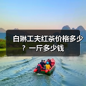 白琳工夫红茶价格多少?一斤多少钱(图2) 白琳工夫红茶价格多少?一斤多少钱(图2)