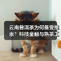 云南普洱茶为何备受推崇?科技金融与熟茶工艺如何推动产业发展(图3) 云南普洱茶为何备受推崇?科技金融与熟茶工艺如何推动产业发展(图3)