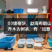 03银毫饼,勐海布朗山乔木古树茶,有“班章小白菜”的美誉(图3) 03银毫饼,勐海布朗山乔木古树茶,有“班章小白菜”的美誉(图3)