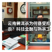 云南普洱茶为何备受推崇?科技金融与熟茶工艺如何推动产业发展(图4) 云南普洱茶为何备受推崇?科技金融与熟茶工艺如何推动产业发展(图4)