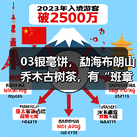 03银毫饼,勐海布朗山乔木古树茶,有“班章小白菜”的美誉(图4) 03银毫饼,勐海布朗山乔木古树茶,有“班章小白菜”的美誉(图4)