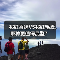 祁红香螺VS祁红毛峰,哪种更值得品鉴?(图4) 祁红香螺VS祁红毛峰,哪种更值得品鉴?(图4)
