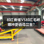 祁红香螺VS祁红毛峰,哪种更值得品鉴?(图3) 祁红香螺VS祁红毛峰,哪种更值得品鉴?(图3)