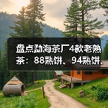 盘点勐海茶厂4款老熟茶:88熟饼、94熟饼、97水蓝印熟、99傣文熟(图2) 盘点勐海茶厂4款老熟茶:88熟饼、94熟饼、97水蓝印熟、99傣文熟(图2)