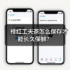 桂红工夫茶怎么保存才能长久保鲜？