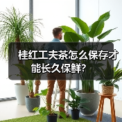 桂红工夫茶怎么保存才能长久保鲜?(图2) 桂红工夫茶怎么保存才能长久保鲜?(图2)