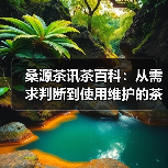 桑源茶讯茶百科:从需求判断到使用维护的茶叶挑选指南(图3) 桑源茶讯茶百科:从需求判断到使用维护的茶叶挑选指南(图3)