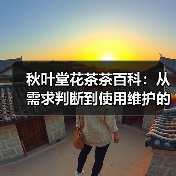 秋叶堂花茶茶百科:从需求判断到使用维护的全攻略(图1) 秋叶堂花茶茶百科:从需求判断到使用维护的全攻略(图1)