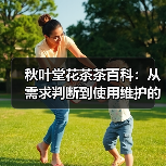 秋叶堂花茶茶百科:从需求判断到使用维护的全攻略(图2) 秋叶堂花茶茶百科:从需求判断到使用维护的全攻略(图2)