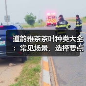 道韵雅茶茶叶种类大全:常见场景、选择要点与注意事项(图2) 道韵雅茶茶叶种类大全:常见场景、选择要点与注意事项(图2)