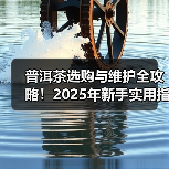 普洱茶选购与维护全攻略!2025年新手实用指南(图1) 普洱茶选购与维护全攻略!2025年新手实用指南(图1)