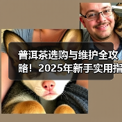 普洱茶选购与维护全攻略!2025年新手实用指南(图4) 普洱茶选购与维护全攻略!2025年新手实用指南(图4)