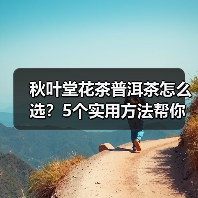 秋叶堂花茶普洱茶怎么选?5个实用方法帮你解决选择困难(图1) 秋叶堂花茶普洱茶怎么选?5个实用方法帮你解决选择困难(图1)