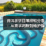 普洱茶饼日常经验分享:从需求判断到维护指南(图2) 普洱茶饼日常经验分享:从需求判断到维护指南(图2)